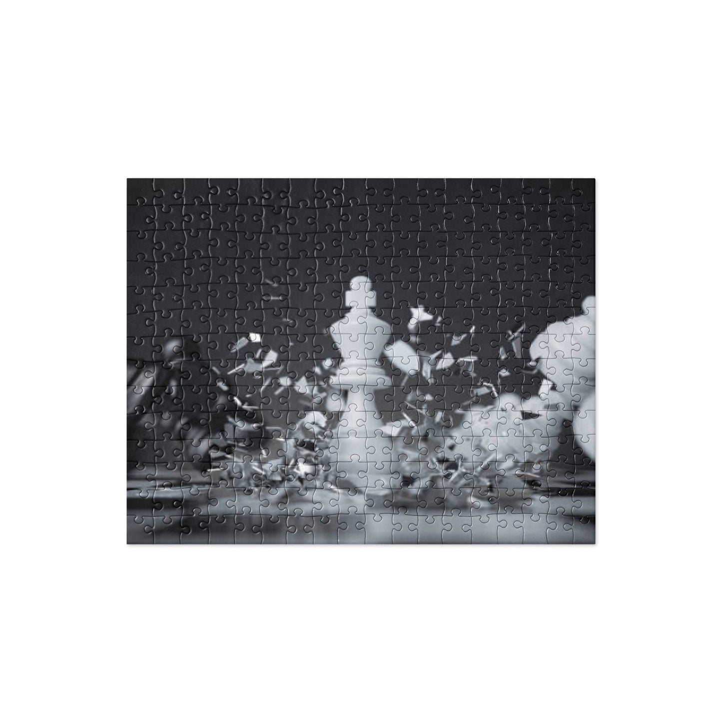 Jigsaw puzzle